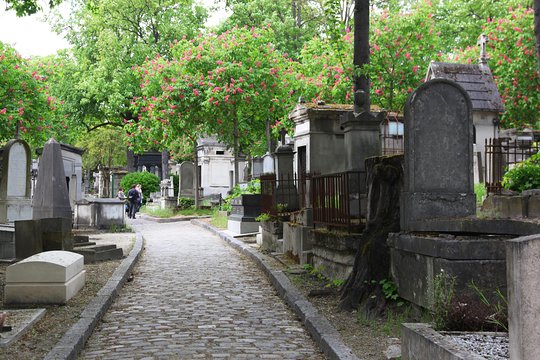 Tour image 12