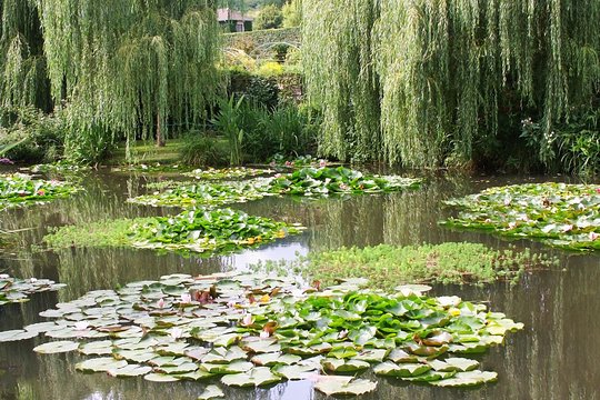 Tour image 11