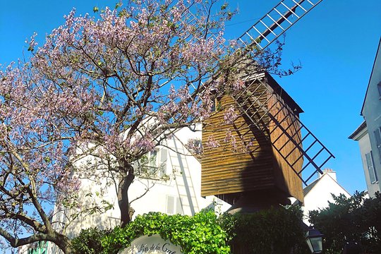 Tour image 4
